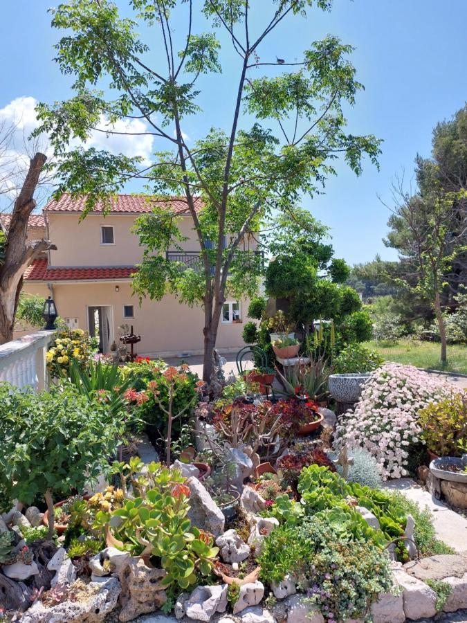 Apartment Velinka Mundanije
